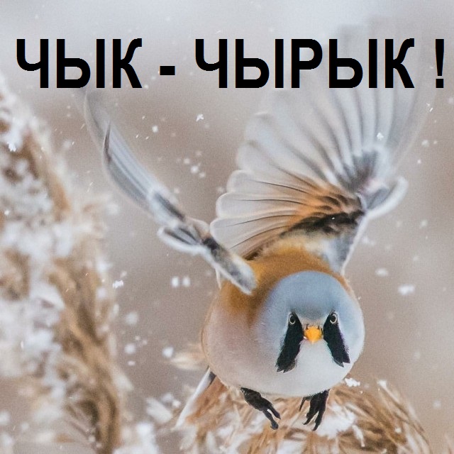 Необычные картинки 01.08.2023