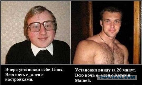 Россияне массово мигрируют на пиратские версии Windows — уход Microsoft не привел к победе Linux