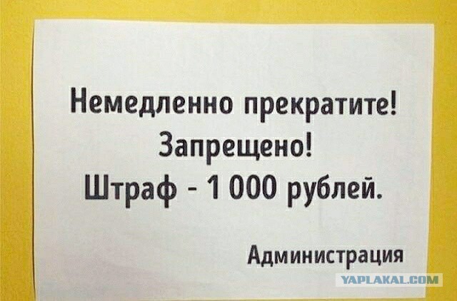 Перлы 02.11.23