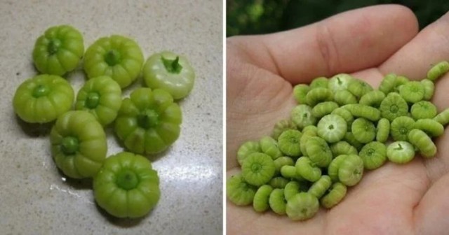16 странных "вкусняшек", которыми были не прочь полакомиться дети в СССР