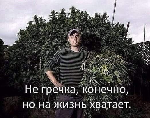 Так себе картинки 20.12.23