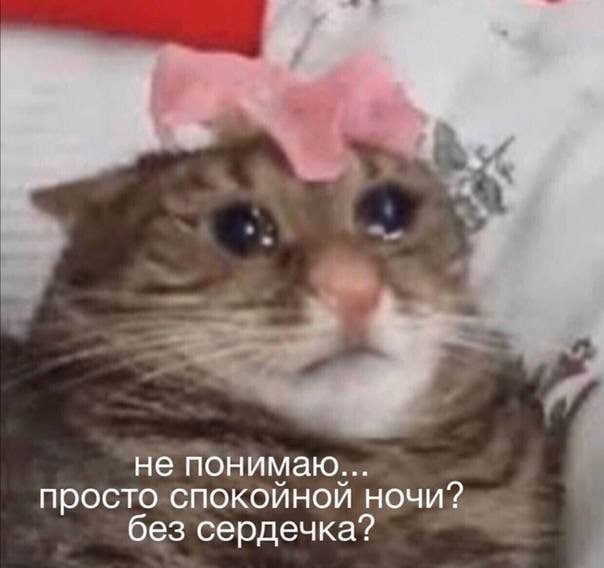 Всего понемногу. От 22.12.23