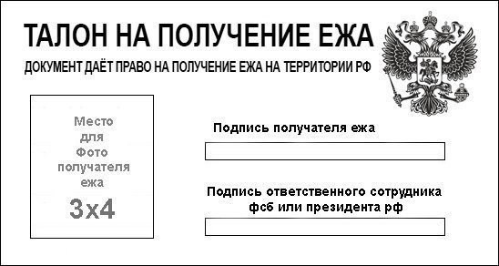 Внимание! Детёныши ежей