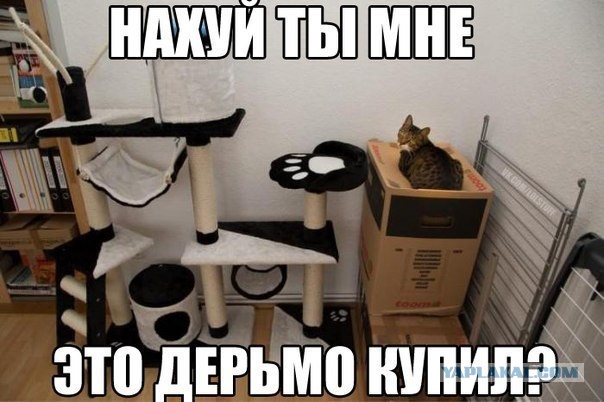 Резиденция для Маршала