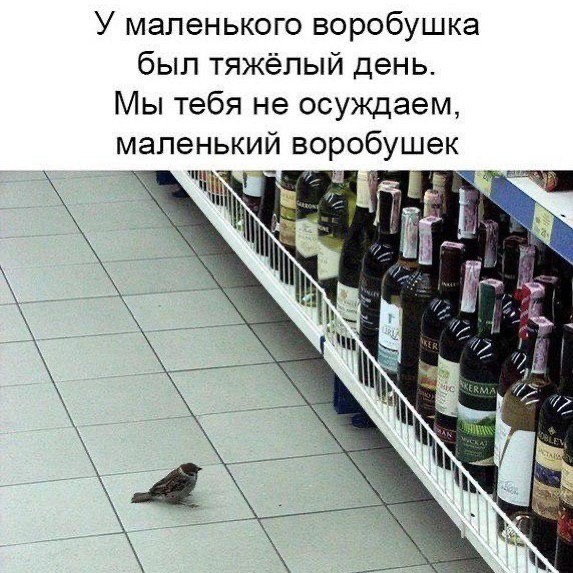 Отряд быстрого деградирования