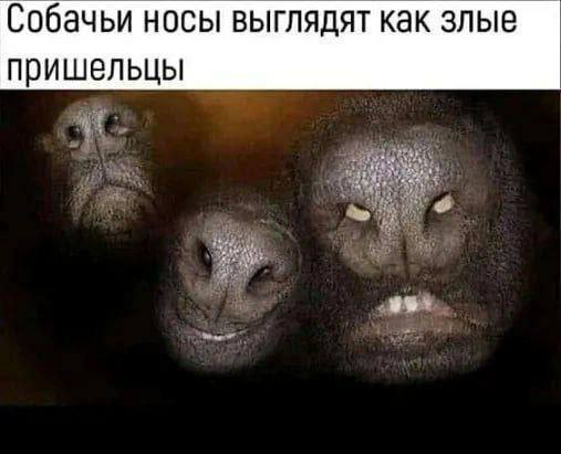Тлидцать тли от 22 февлаля