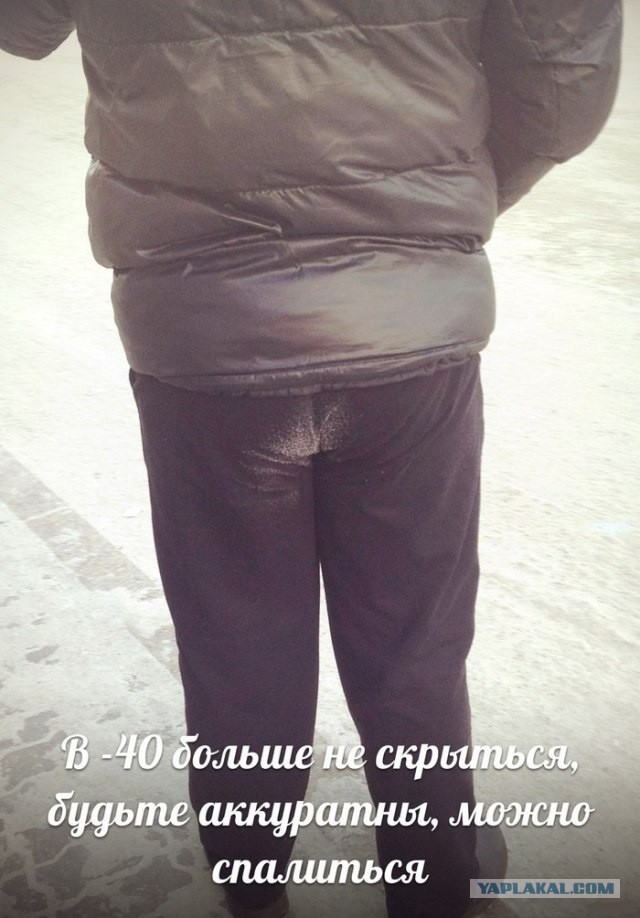 ТОП-13 фактов, связанных с очень неприличным физиологическим процессом