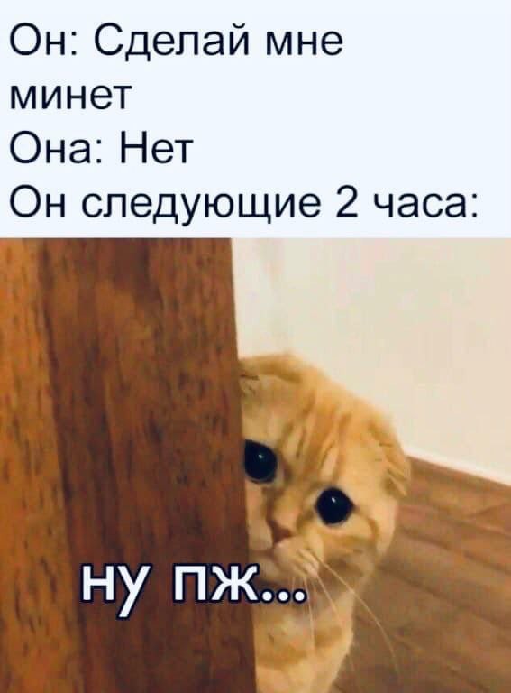 Всего понемногу. От 21.06.2024