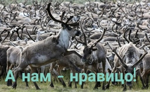 А вдруг найдется молодой миллионер