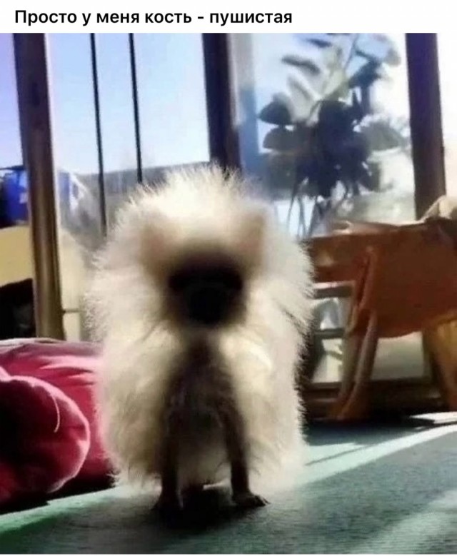 БoянЫ