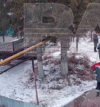 В Уфе чиновники спилили 30-летнюю ель местной жительницы и установили её на площади у дворца творчества