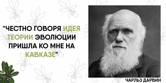 Искусство в массы