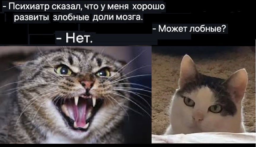Картинки разные с надписями и без