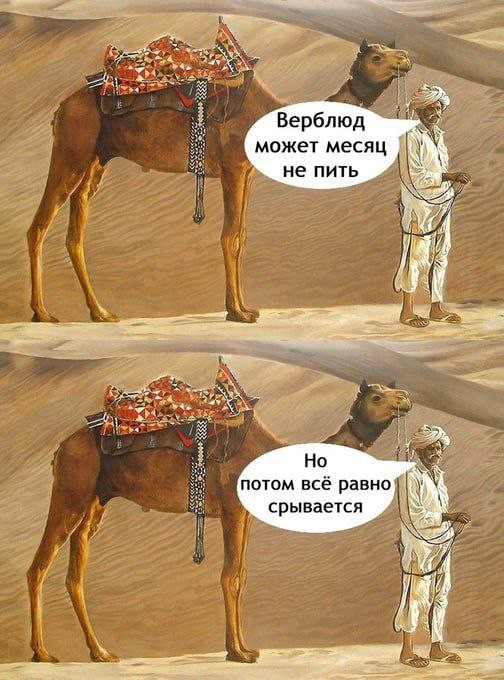 Картинки веселые