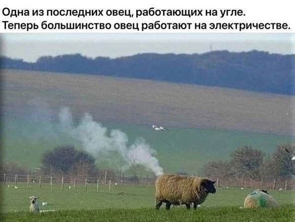 Жипеги и не совсем