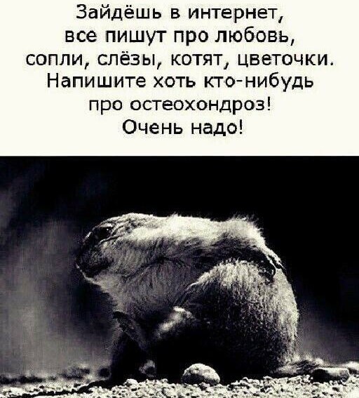 Для пятничного настроения