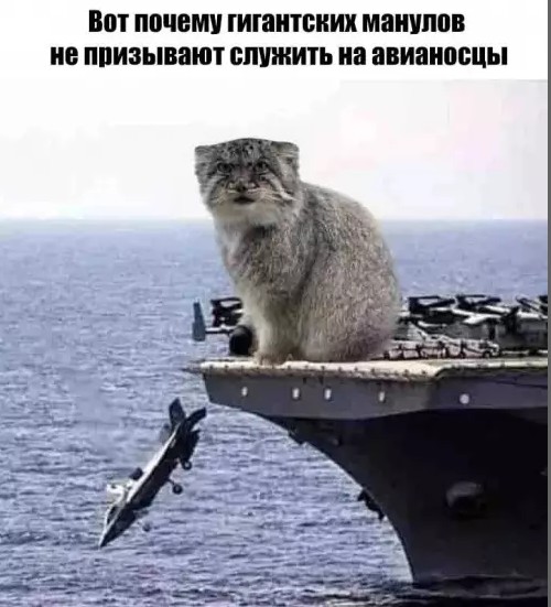 Жизненно, иногда черно, вобщем как попало