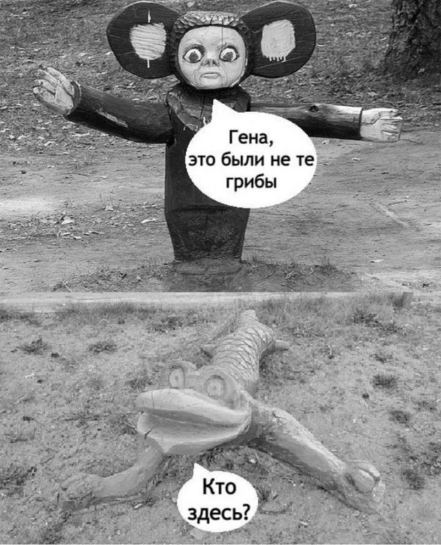20576591.jpg