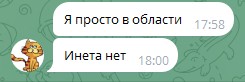 Жизнь домашнего приюта для котеек 567