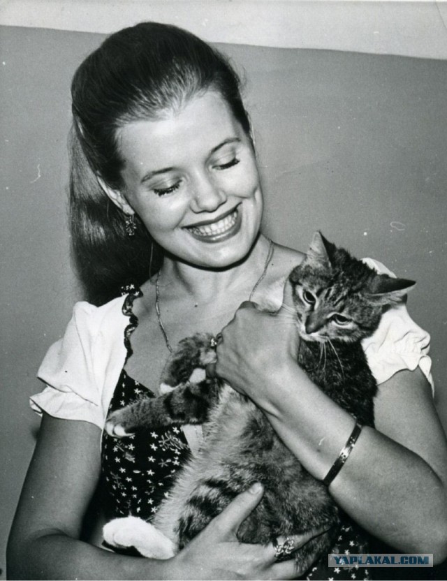 Тазик наше всё