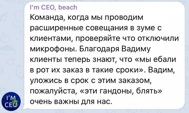 Так себе картинки 24.02.26