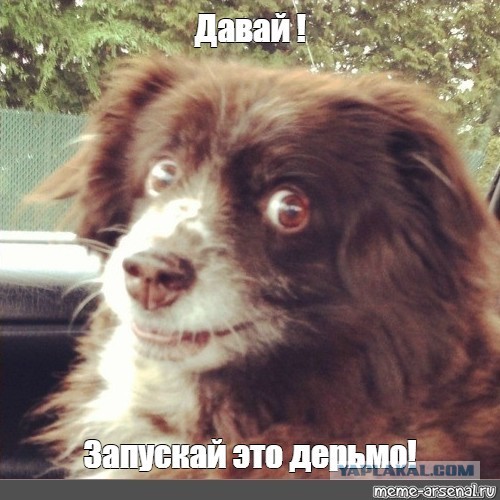 Человек амфибия