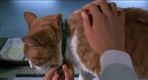 А что если?