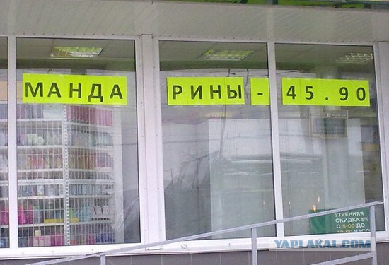 Земфира: я больше никогда не вернусь в Ростов