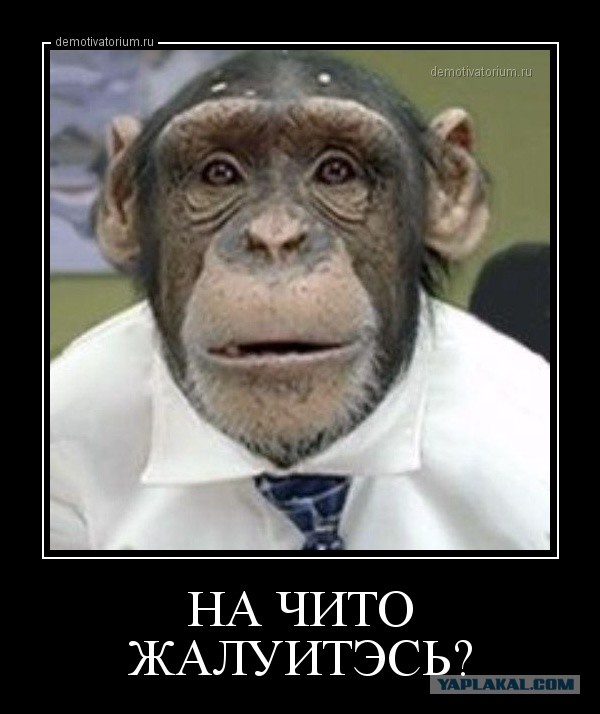 Русофобский анекдот и две всамделишние истории