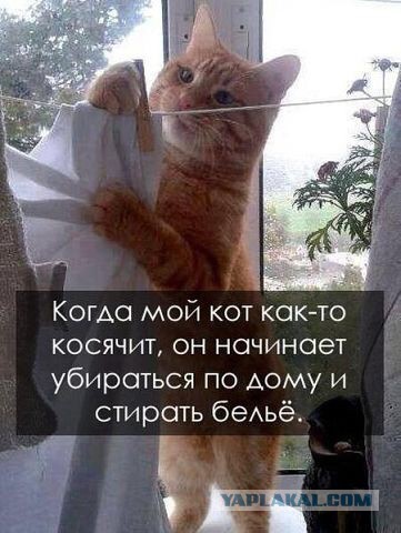Позитивные картинки и комментарии.