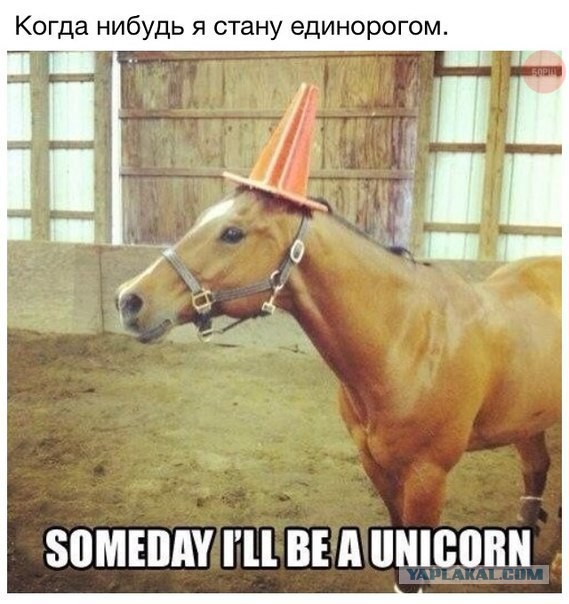 Свежие картинки из сети