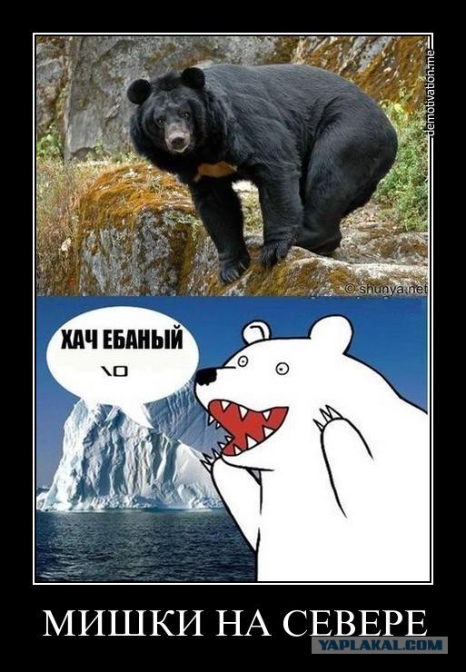 Один будний день индийской жены