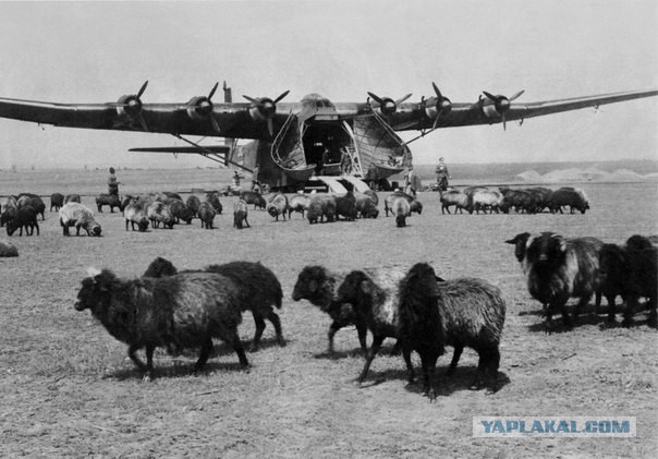 1941 год. Боль и мужество. Фото.