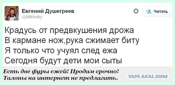 Весёлые картинки