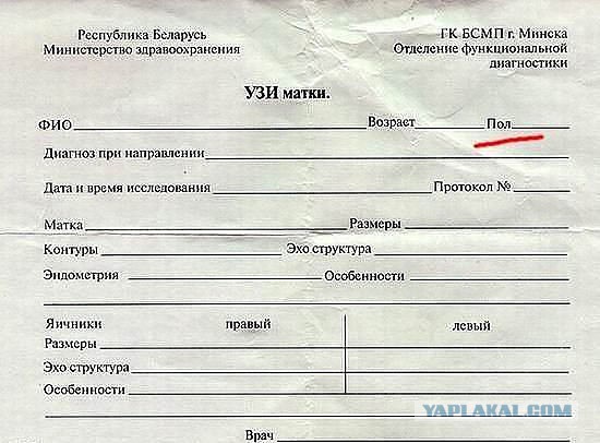 Весёлое из сети