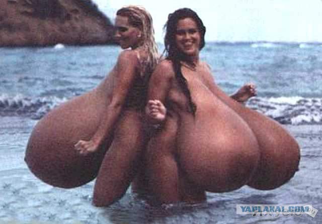 В знак протеста