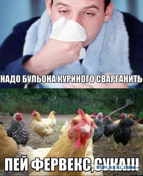 Немного юмора