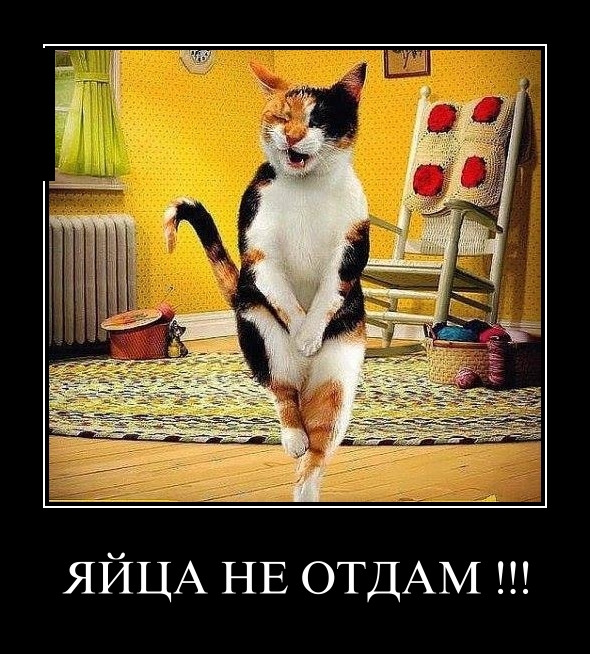 Пятничная подборка