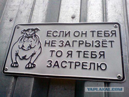 Немного картинок перед понедельником