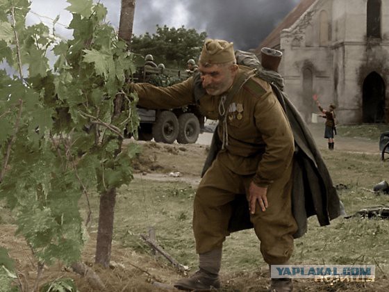 Баннер со Сталиным