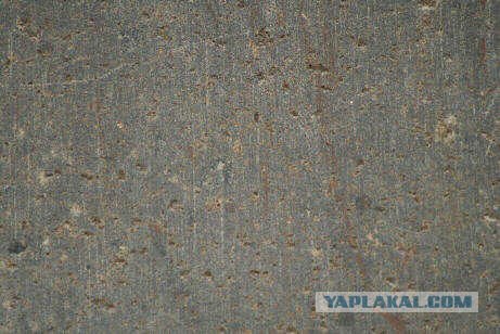 В Египте открыли некрополь Серапеум