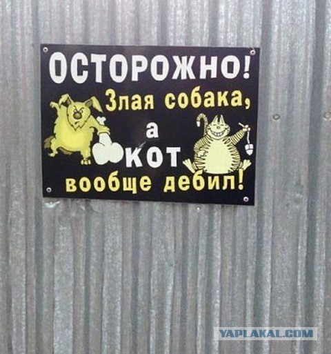 Смешные картинки №...дцать