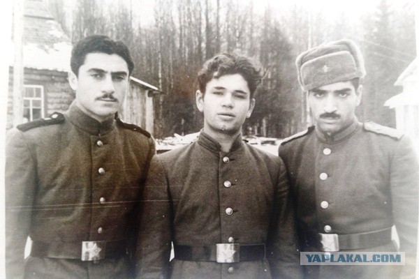 Поиск родственников