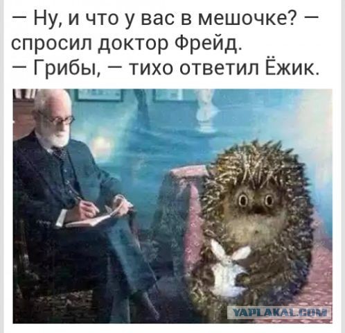 Ужасы и приколы из соцсетей 18+