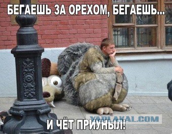 Забавные картинки из Сети