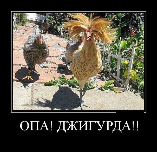 А давайте улыбнёмся В Новом Году