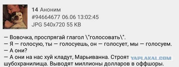 Смешные комментарии из социальных сетей 05.02.2016