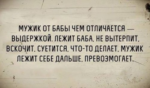 Веселые картинки