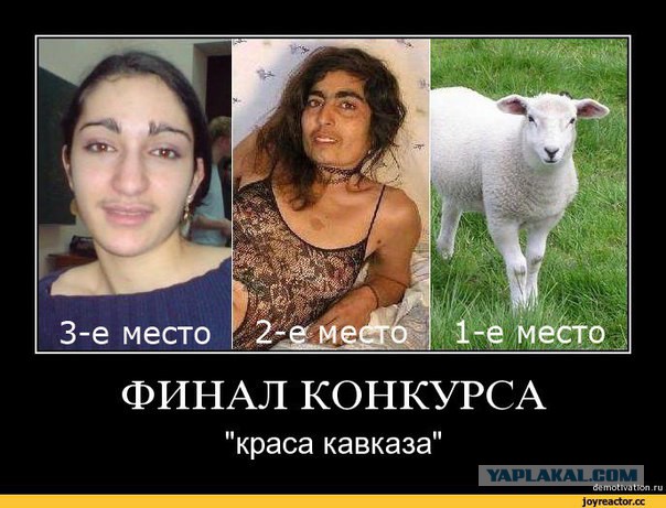 Массовая потасовка с участием полицейских произошла в Новосибирске