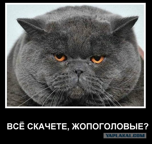 Украина, Донбасс, Крым. Я узнал правду